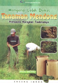 Image of Mengenal Lebih Dekat Tanamkan Mendong ; Primadona Kerajinan Tasikmalaya