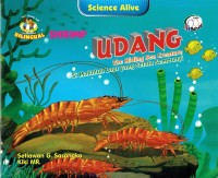 Image of Udang : The Hiding Sea Creature, Si Makhluk Laut yang Selalu Sembunyi