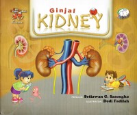 Image of Ginjal : Kidney