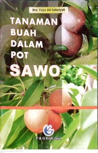 Image of Tanaman Buah Dalam Pot SAWO