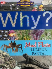 Image of Why ? Mud Flats = Lumpur Pantai